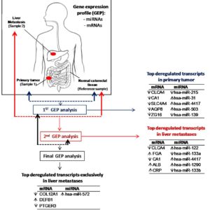 jmd16003-figure