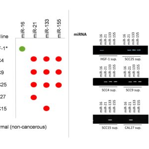 jmd16010-fig2