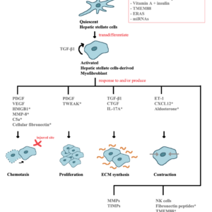 figure 1 jmd16013