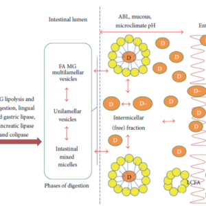 Fig10