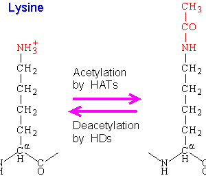 Fig2