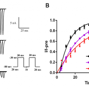 Fig 5