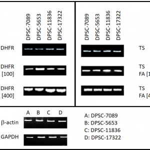 Fig3