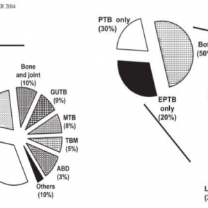 Fig1